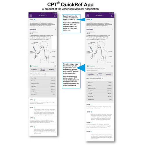 Zoomed in view of CPT Quickref App